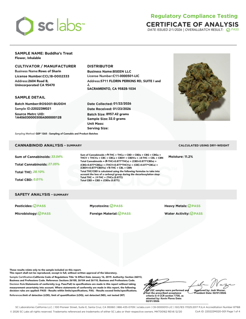 Buddhas Treat Lab 1